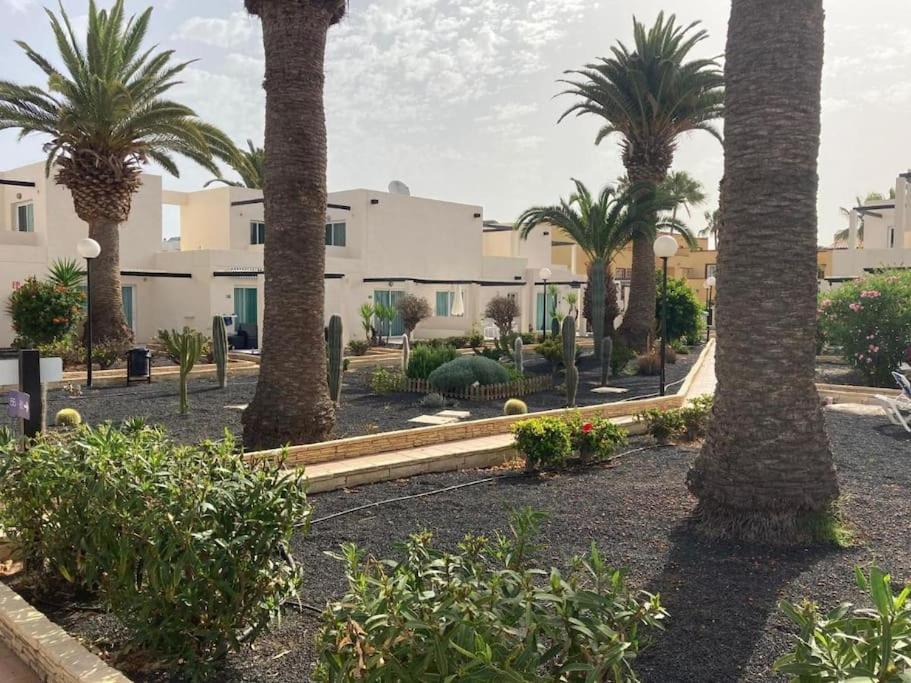 Corralejo Suite Pool & Gardens - Alisios Playa Exterior photo